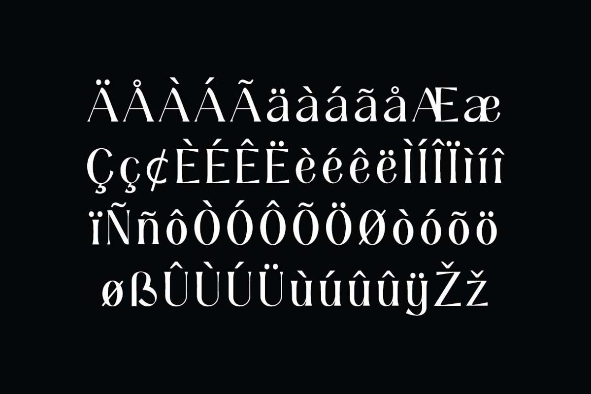 Delphine Modern Ligatures Font, a Serif Font by UICreative (Photo 9 of 13)