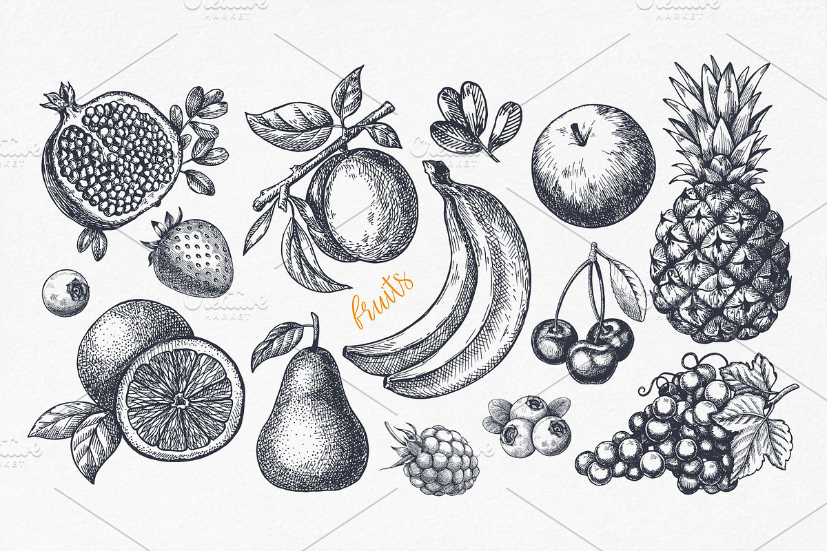 Fruits. Hand drawn collection., a Food Illustration by natadanko (Photo 2 of 4)