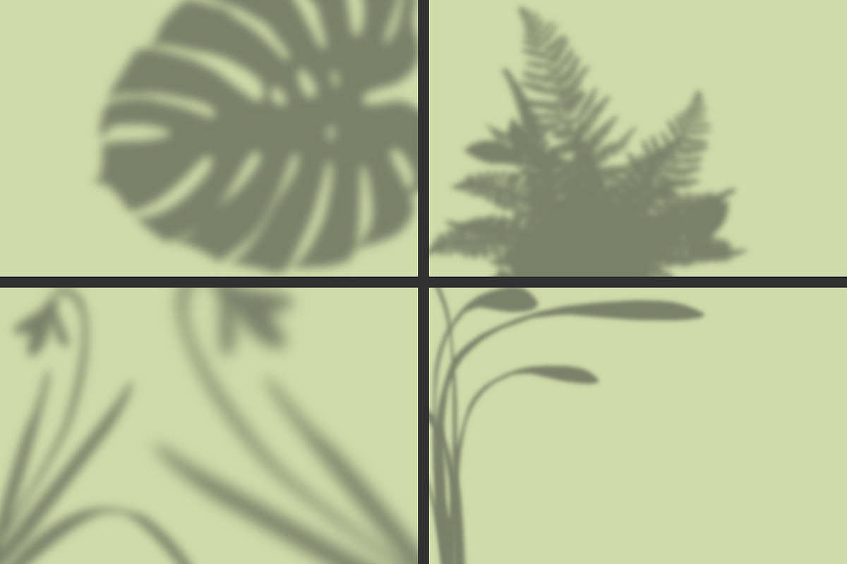 50 plants shadows, a Mockup by AnastasiyaOleynik (Photo 6 of 14)