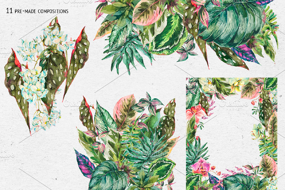 Tropical leaves graphic pack, an Illustration by Belusuab (Photo 6 of 16)