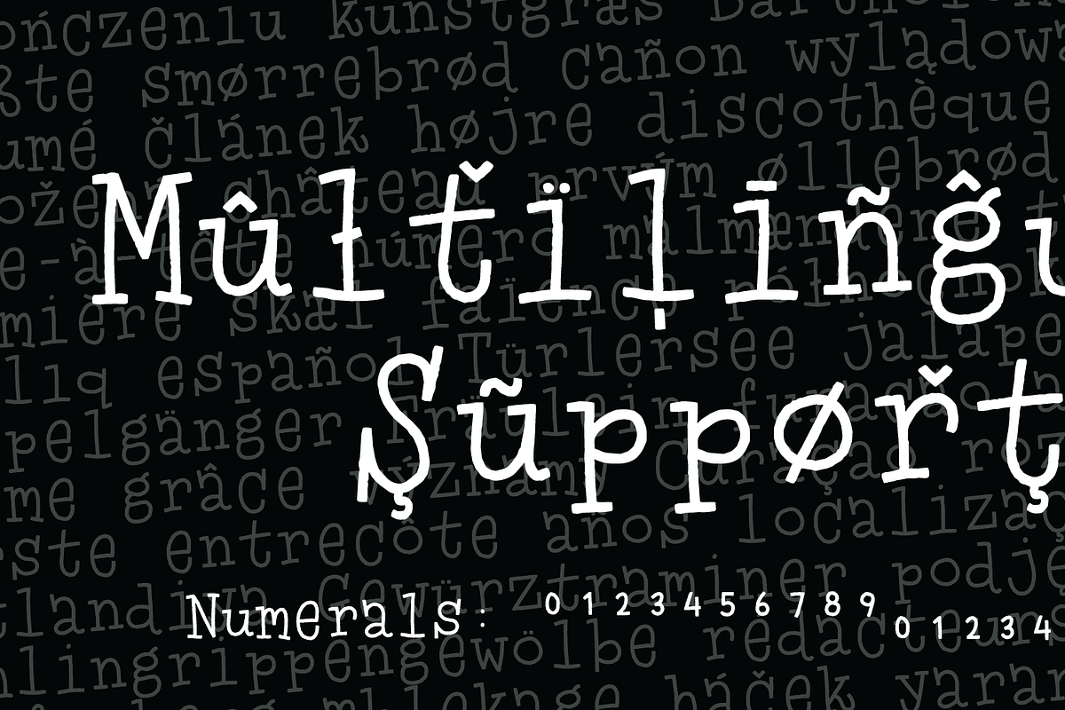 Misspent Youth, a Serif Font by pizzadudedotdk (Photo 11 of 11)