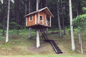 Tree house, an Architecture Photo by BOOCYS