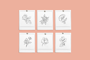 Rose Garden Vector Illustrations, an Illustration by Emma Webb Studio (Thumbnail 2 of 8)