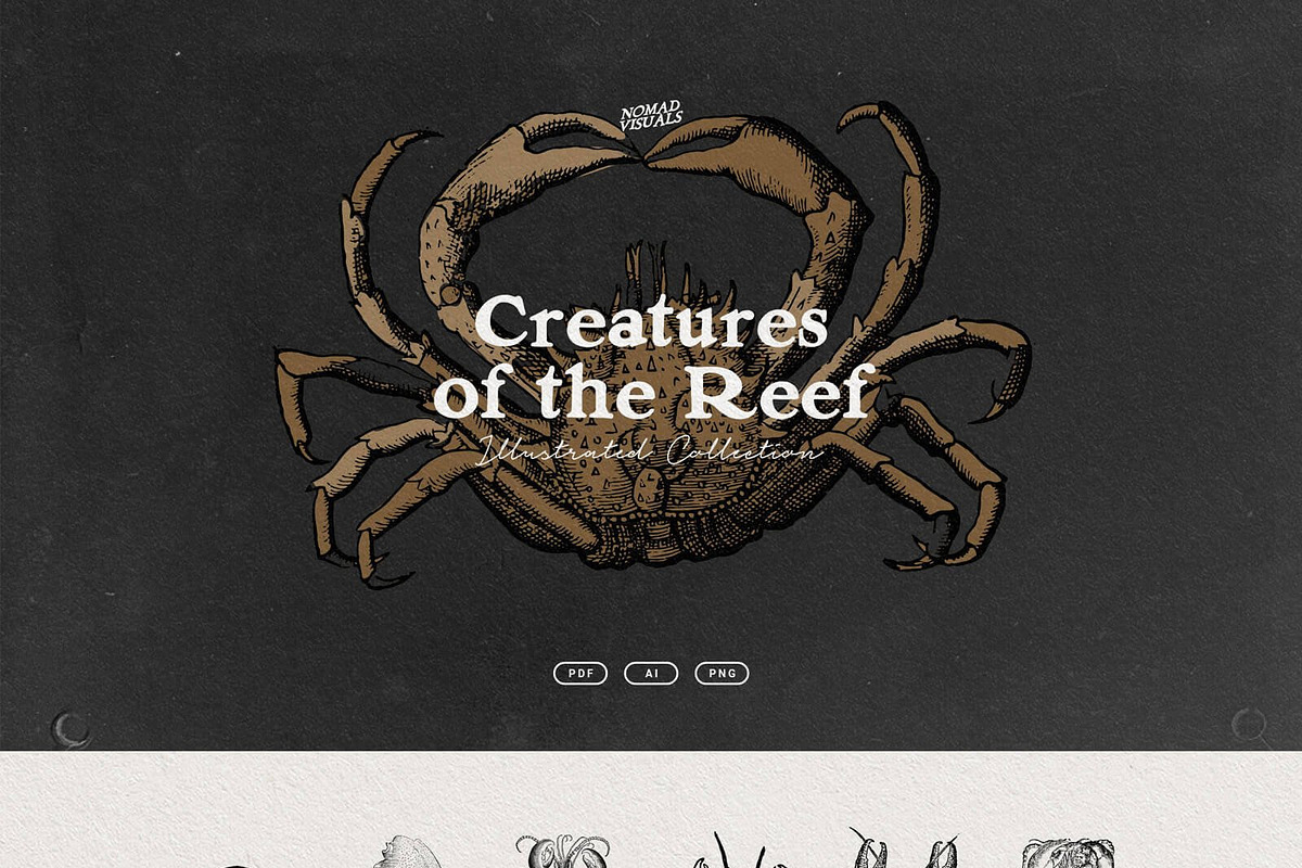 The Vintage Bundle, an Object Graphic by Nomad Visuals (Photo 16 of 45)