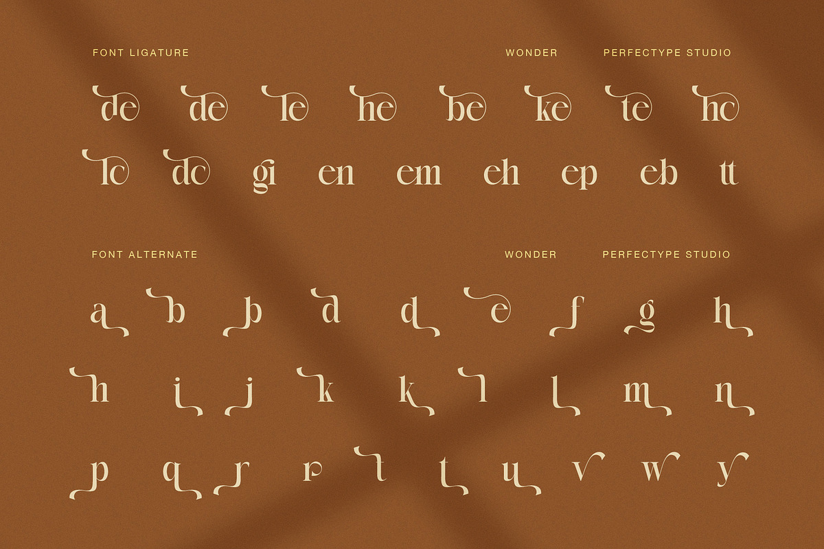 Wonder Elegant Serif Font, a Serif Font by Perfectype (Photo 8 of 8)