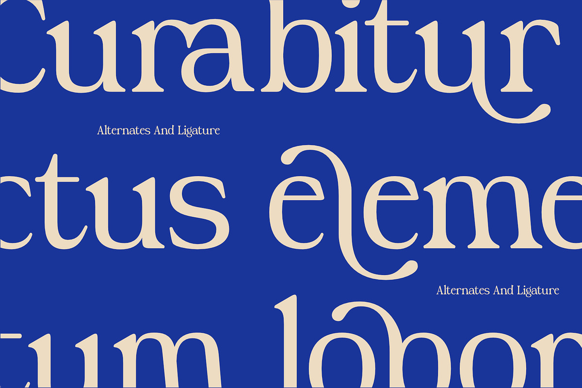 Royali Serif, a Serif Font by Khoir (Photo 4 of 13)