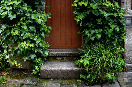 door of a rural house with decorativ, a Background Photo by Perpis