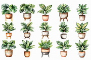 Watercolor Home Plants Clipart, an Illustration by Libby Wishes (Thumbnail 4 of 7)