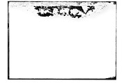 Photo Decay Overlays, a Texture Graphic by Blue Line Design (Thumbnail 6 of 24)