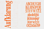Pheromone Ultimate | Modern Classic, a Serif Font by Lettertype Studio (Thumbnail 7 of 20)