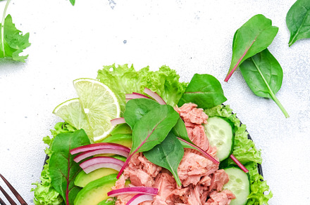 Canned tuna salad with avocado, cucumber, onion, spinach, lettuc, a Food & Drink Photo by 5PH
