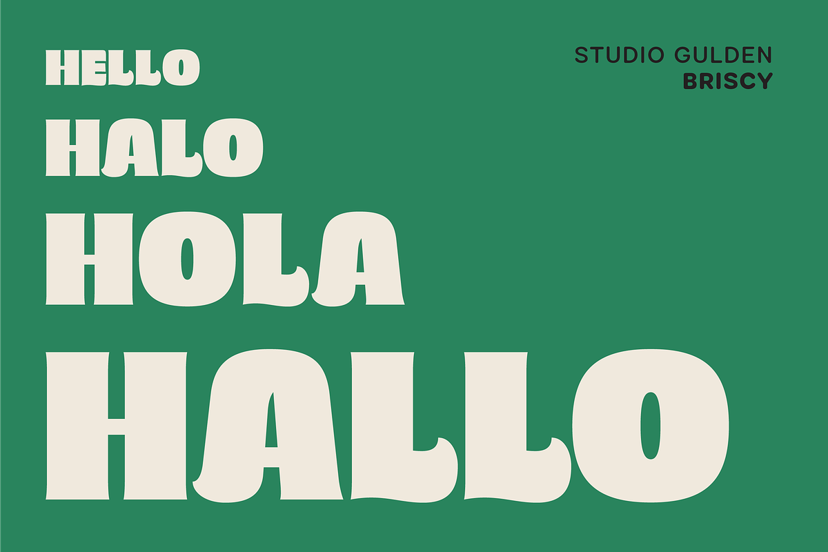 SG - BRISCY Display Font, a Font by Studio Gulden (Photo 5 of 12)