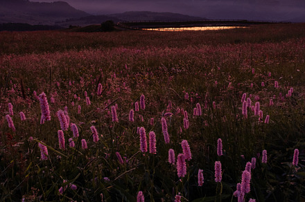 Dark sunrise in the mountains of the Dolomites, a Nature Photo by Dreamy Pixel