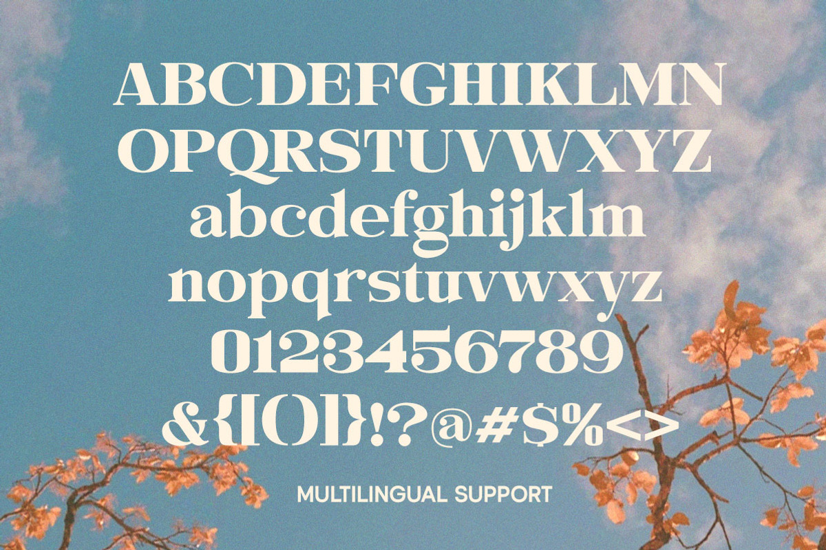 Evorine Stylish Serif, a Serif Font by Letterhend Studio (Photo 5 of 11)