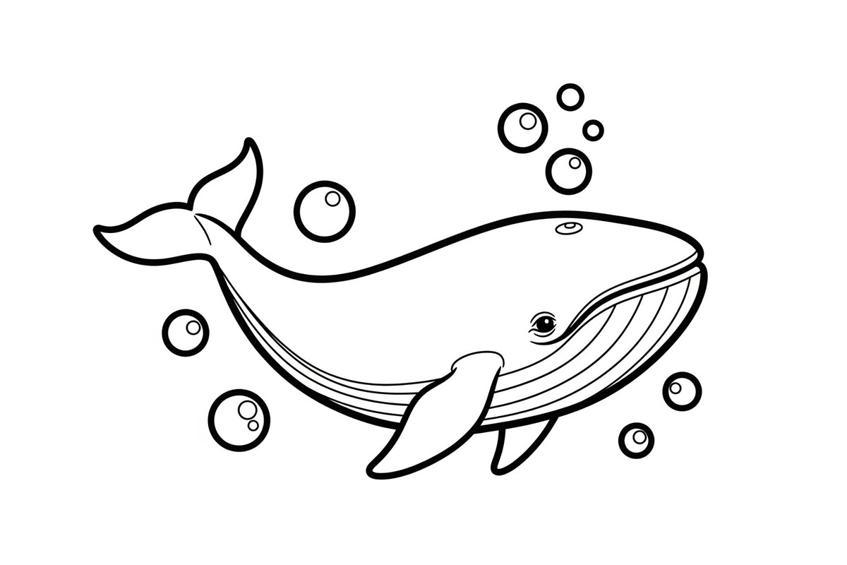 Whale Line Art Vector Bundle, an Illustration by yasushie (Photo 47 of 51)