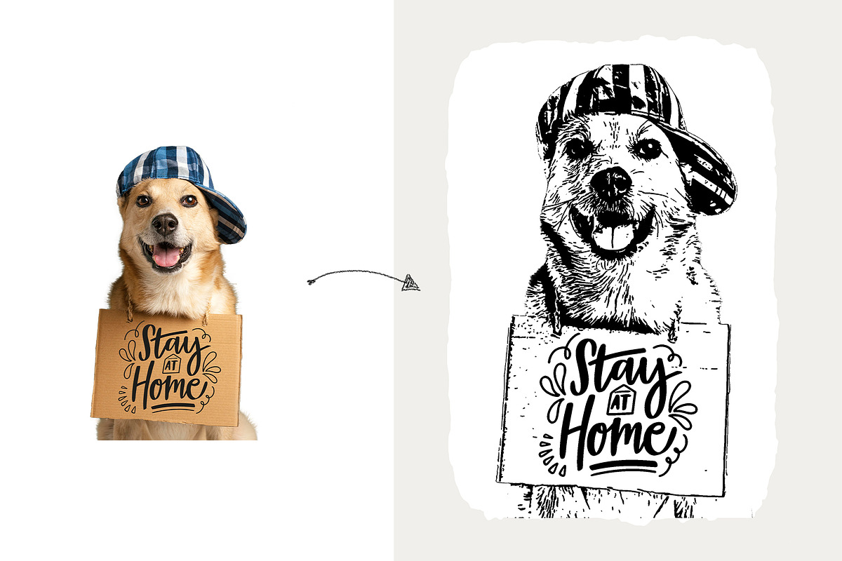 Pet Vector Trace Photoshop Effect, an Action Add-On by Shovajit (Photo 8 of 9)