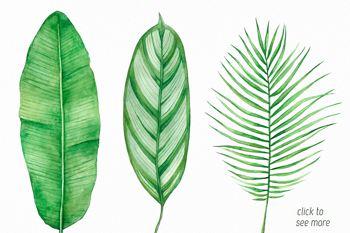 Tropic life Watercolor set, an Animal Illustration by Green_leaf_17 (Photo 2 of 6)
