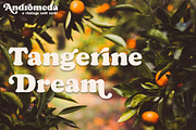 Andromeda // A Vintage Soft Serif, a Serif Font by Megs Lang (Thumbnail 10 of 18)