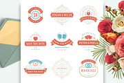 18 Wedding Logos and Badges, a Branding & Logo Template by Vasya Kobelev (Thumbnail 6 of 15)