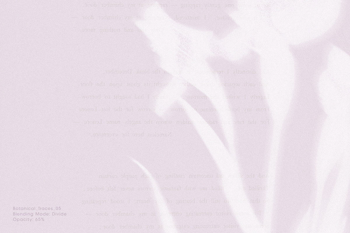 Botanical Traces: Blurred Floral PNG, an Object Graphic by Dina Mae (Photo 7 of 14)
