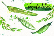 Vegetables. Watercolor clipart., an Illustration by LABFcreations (Thumbnail 9 of 11)