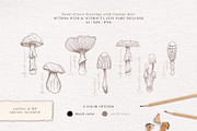Sketchbook Mushrooms Vintage Art, a Decorative Illustration by Pigment Café (Thumbnail 2 of 7)