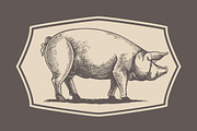 Pigs in graphical style, an Animal Illustration by Countryside life (Thumbnail 4 of 11)