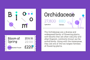 Tempoline Font (75% OFF!), a Sans Serif Font by Poli Gilad (Thumbnail 9 of 14)