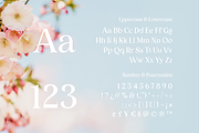 Bunga Zivilia - Display Serif Font, a Serif Font by Artchitype Studio (Thumbnail 9 of 12)