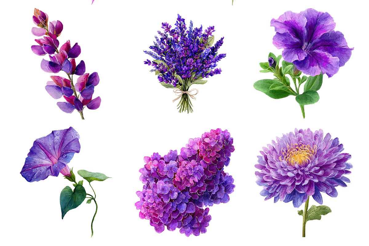 Watercolor Flower Clipart, an Illustration by Daily.Designs (Photo 4 of 5)