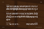 Faniling - Elegant Serif Font, a Serif Font by TypeLogue (Thumbnail 5 of 5)