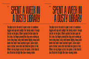 Rainshade - Condensed Display Font, a Sans Serif Font by Typeparties (Thumbnail 4 of 12)
