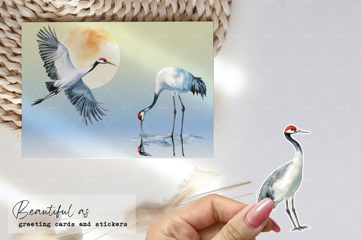 Elegant Watercolor Cranes, an Animal Illustration by Dazzling Art Boutique (Photo 3 of 5)
