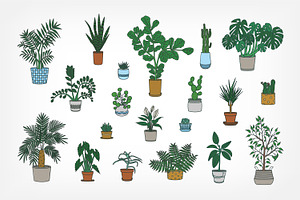 Houseplants Growing In Pots