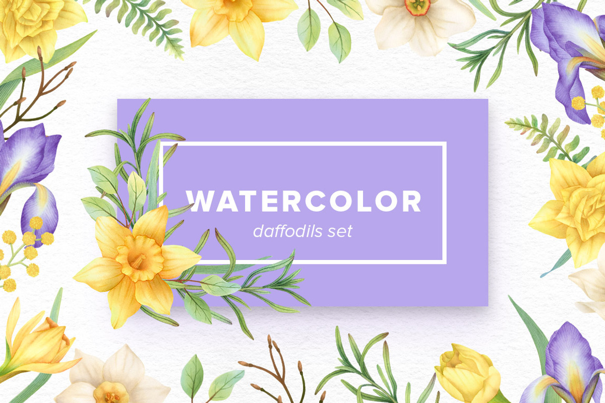 Watercolor Daffodils Set, an Object Graphic by Kotulska (Photo 1 of 3)