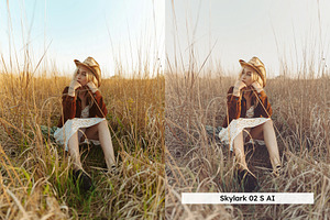 20 Boho Style Lightroom Presets LUTs