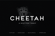 CHEETAH - Sans Serif / Display, a Sans Serif Font by Uniko Studio (Thumbnail 1 of 10)