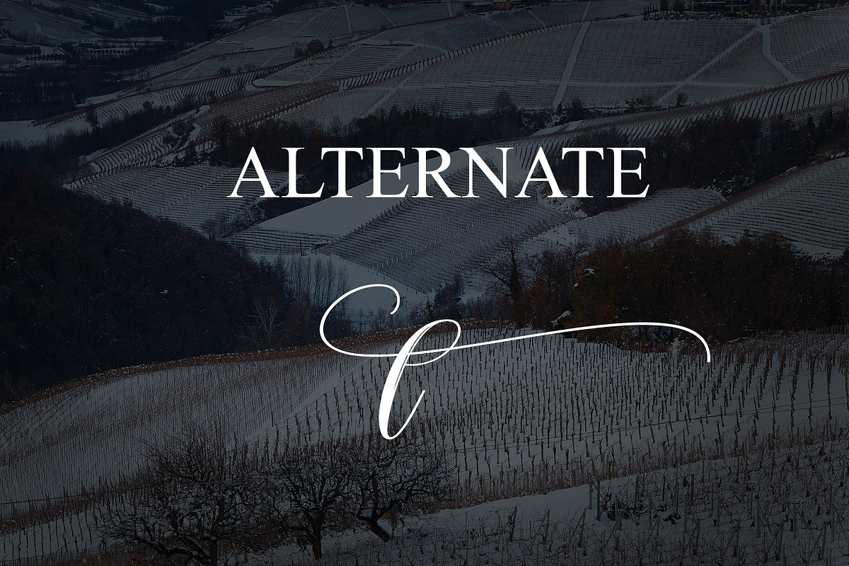Winterfarm | Script Font, a Handwritten Font by Scratchones (Photo 8 of 9)