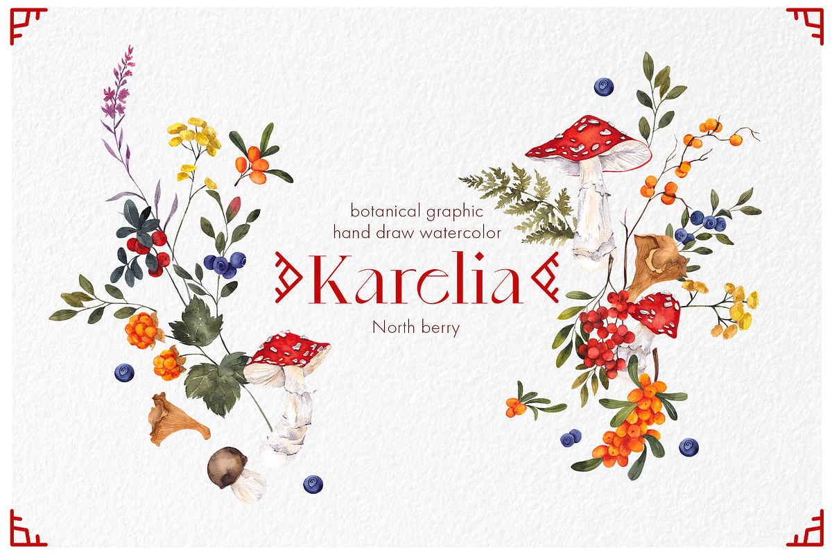 Karelia. North berry watercolor, an Object Graphic by ma_i_vi (Photo 1 of 10)