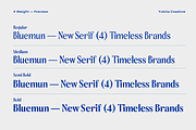 Bluemun – Timeless Serif, a Serif Font by Yukita Creative (Thumbnail 6 of 12)