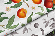 Vintage Peach Graphic Collection #01, a Decorative Illustration by Olga Begak Art & Design (Thumbnail 8 of 9)