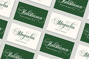 The Bringhton, a Script Font by Straight.co (Thumbnail 7 of 11)
