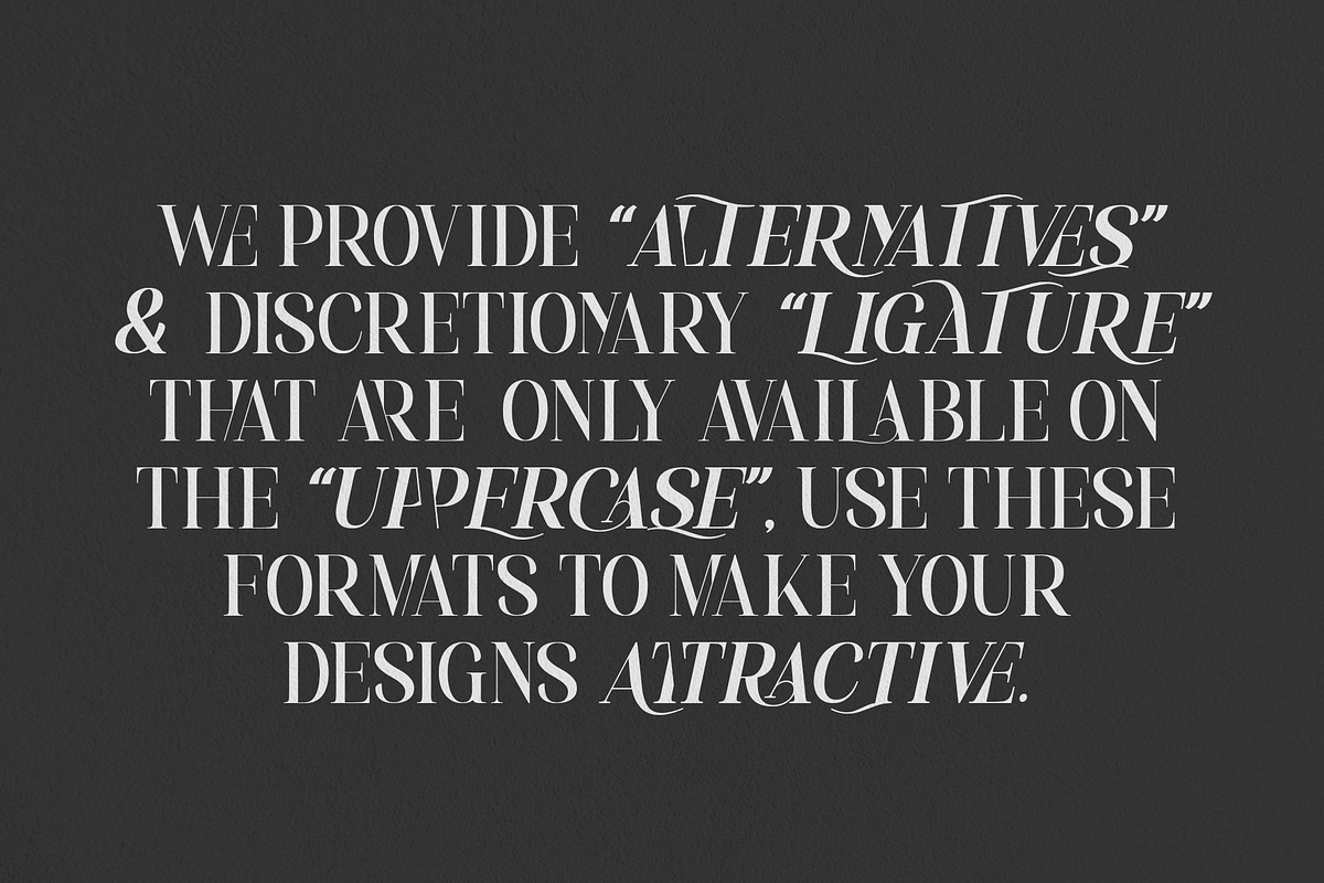 Mylierka - Serif Font (11 Fonts), a Serif Font by Maculinc Type (Photo 8 of 15)