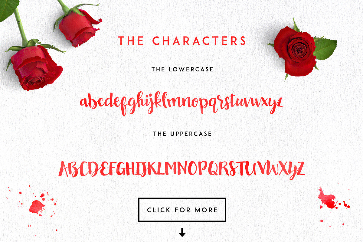 Bavalin Script + Ornaments preview 5
