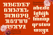 Cleffordy Traditional Serif, a Blackletter Font by TypeClassHeroes (Thumbnail 5 of 16)