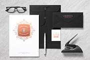 36 Luxury Ornament Logos, a Branding & Logo Template by Vasya Kobelev (Thumbnail 14 of 14)