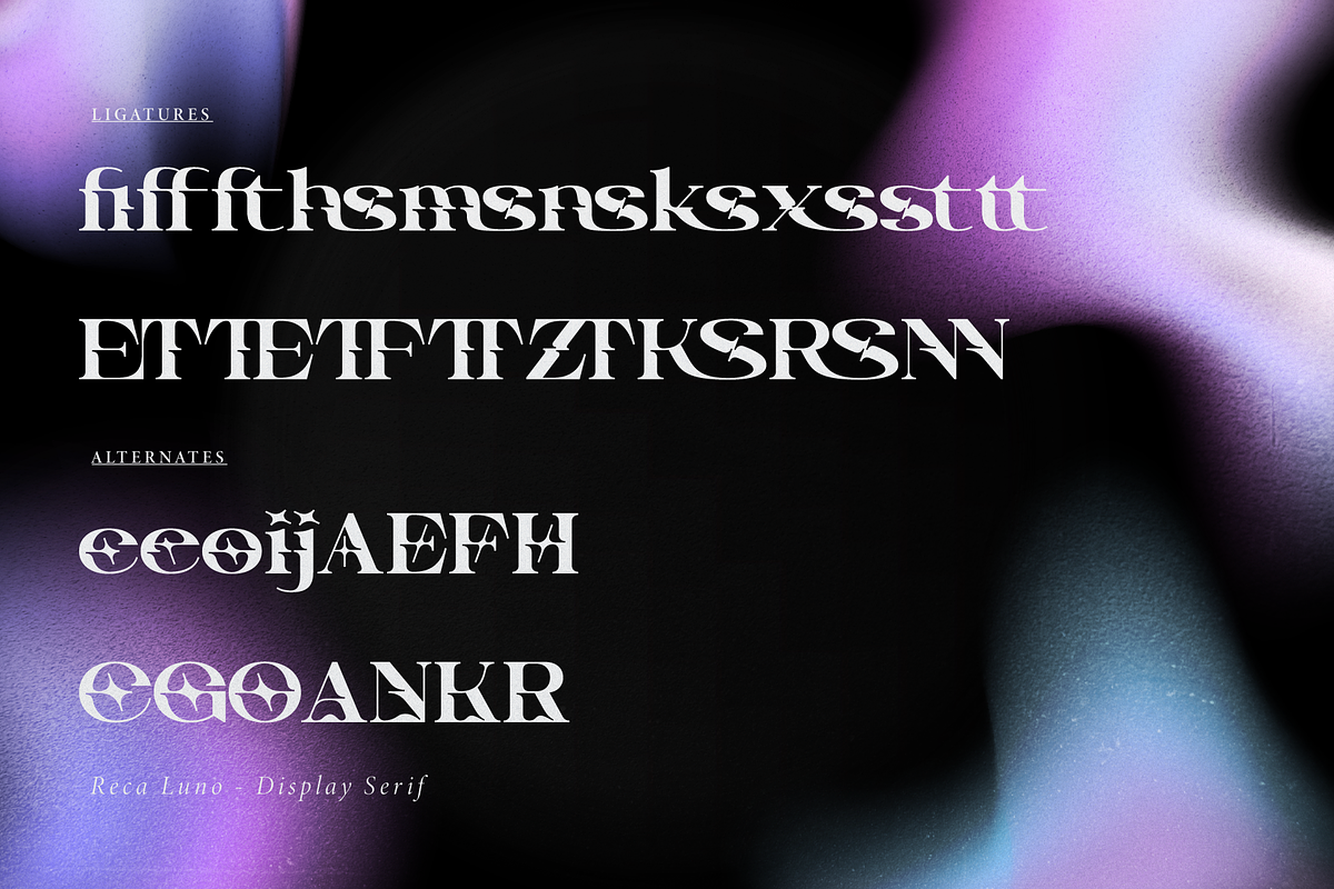Reca Luno | Display Serif, a Serif Font by gracetype_studio (Photo 12 of 12)