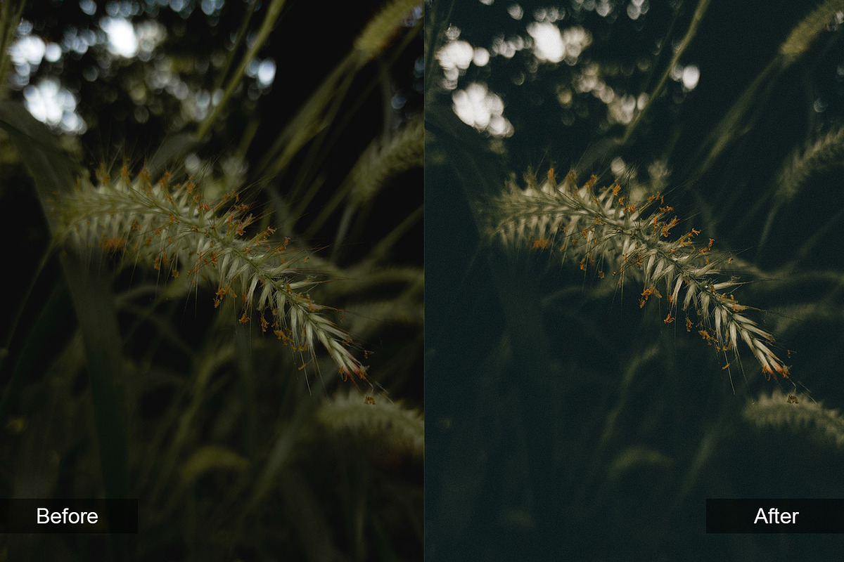 Dark Atmosphere Preset Pack, a Preset Add-On by MadeRed (Photo 5 of 11)