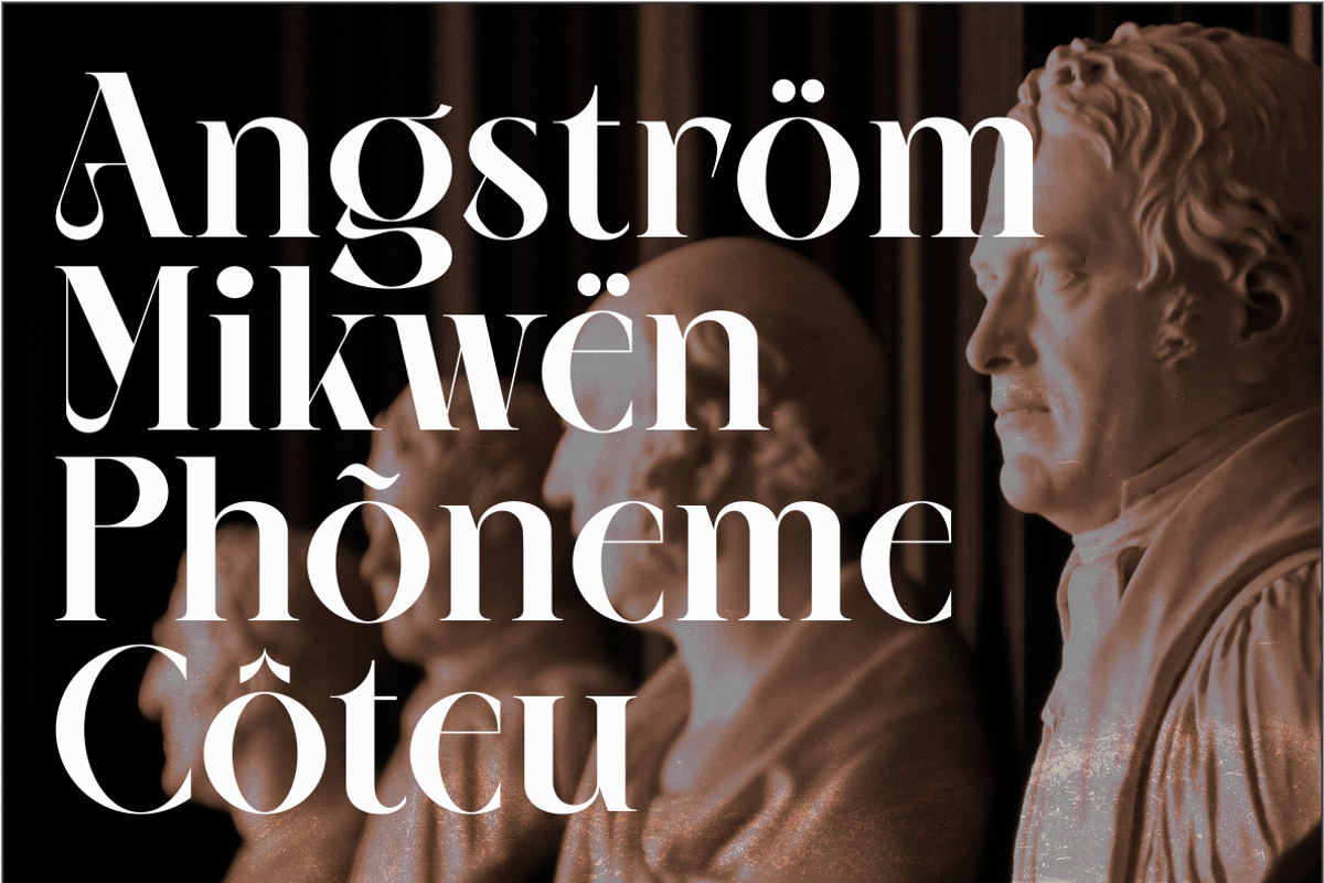 NEIMA, a Serif Font by Bagerich Type Foundry (Photo 8 of 15)
