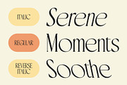 CS Calory – Elegant Font, a Serif Font by Craft Supply Co. (Thumbnail 3 of 8)